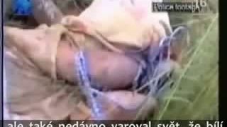 Skutočná Afrika 2