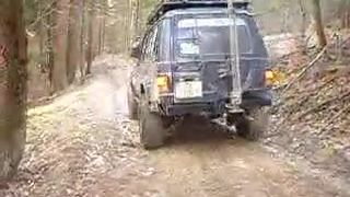Offroad v lese2