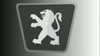 Sialeny zakaznik firmi peugeot