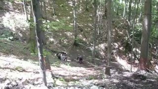 SPDH Malá Lučivná 2012