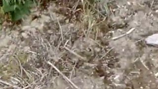 Airsoft - Ground Contol 1