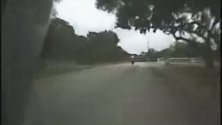 Zrážka srnky s motorkou