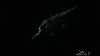 SGA - Gave it all away
