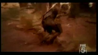 SGA: Ronon - You Can't Take Me