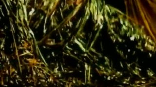 Garbage - Only Happy When It Rains