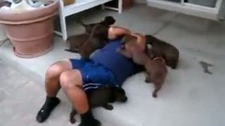A na nehooo!