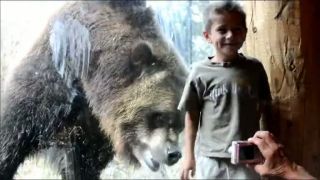 Grizzly
