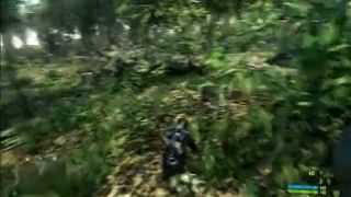 Crysis,les.