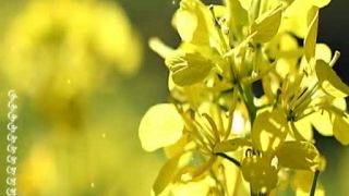 † Meditácie Ľubomíra Stančeka - Čo spôsobuje nedostatok 