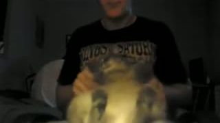 Death metalová mačka