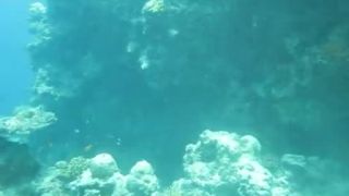 Biyadhoo House Reef