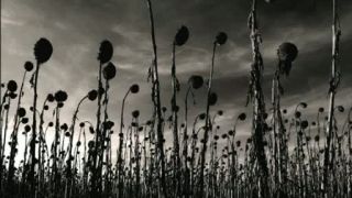 Dead Can Dance - Opium