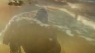 Sose búcsúzz el...crocodil - joe