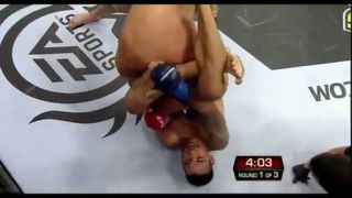 Fabricio Werdum