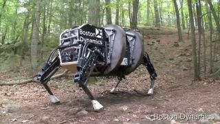 Robot do terénu - AlphaDog