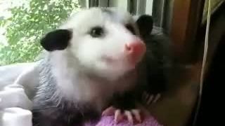 Mňam, tá jahoda mi chutí