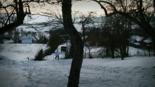 Frozen Chicken - BH