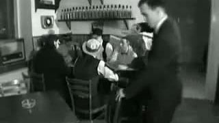 Totální Nasazení - Činčila