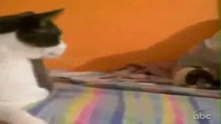 Americké domáce videa