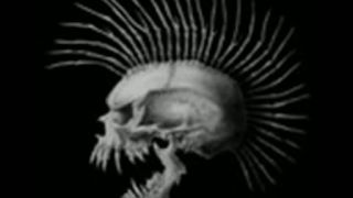Není PUNK jako PUNK - Houba