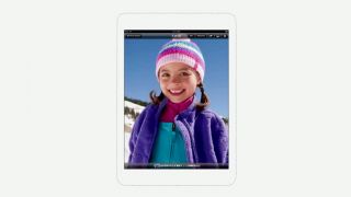 Apple Ipad mini