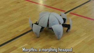 Coolový robot MorpHex