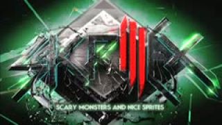 Skrillex with you friends (long drive)