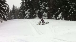 Snezny skuter orava