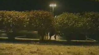 Jackass - Mtv jackass episode 1 PalmTungsten