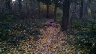 Škodoradosť...