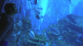 Najväčšie oceanárium sveta