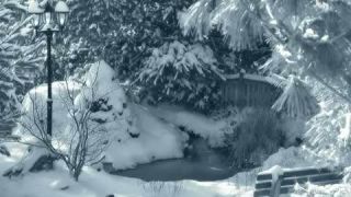 David Essex - A Winter's Tale