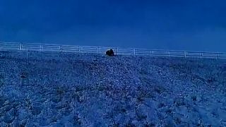 Salto na sánkach