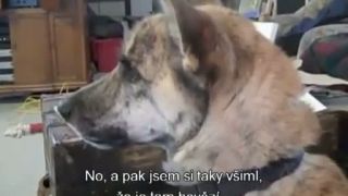 Rozhovor psa a jeho pána