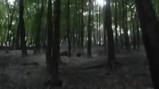 Trening pred sezonou