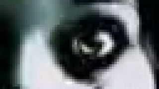 Donny The Forgotten(Current Value Remix)