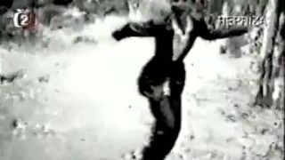 Ivana Chýlková - Sviť nám ( 1996 )