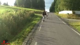Fail Compilation #03