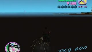 Vice city bug v texture 3