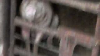 My free running fail 2009/2010