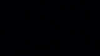 Silvester 2012