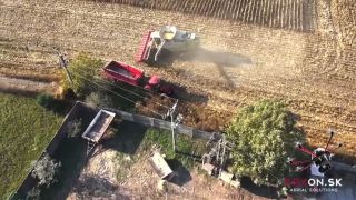Harvesting Rusovce