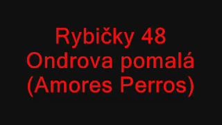 Rybičky 48