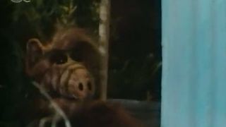 Alf 16.čast(I) - Pohraničná balada