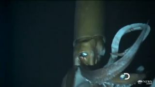 Gigantická krakatica