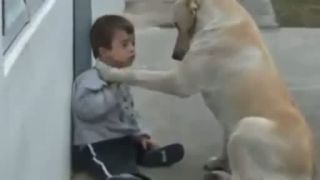 Chlapec so svojim psím priateľom