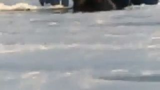 Utopené auto.