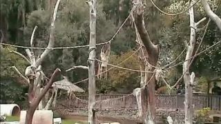 Palmitos Park, Gran Canaria
