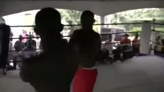 Shockfighting