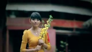 Vietnamská muzika - Liên Khúc Xuân